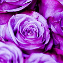 ddos攻击防御手段